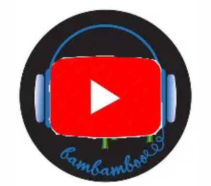 logo youtubeur.jpg